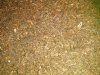 IMG_20190106_135221.jpg