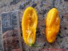 512_7_pot_carboruga_yellow_frucht_offen_31_12_2018_ok.jpg