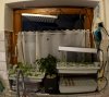 vlcsnap-2019-01-10-07h38m19s829.jpg vlcsnap-2019-01-10-07h38m19s829.jpg