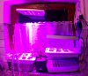 vlcsnap-2019-01-10-07h38m51s908.jpg vlcsnap-2019-01-10-07h38m51s908.jpg