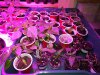 IMG_20190114_203723.jpg