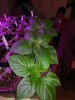 IMG_20190118_192159.jpg