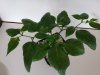 IMG_20190122_093207.jpg