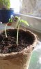 20190209_112456.jpg