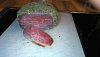 IMG-20190214-WA0004.jpg