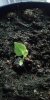 IMG-20190308-WA0008.jpeg