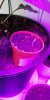 IMG-20190312-WA0013.jpeg