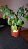 20190401_013429.jpg