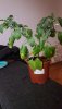 20190401_013530.jpg