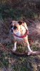 IMG-20181218-WA0003.jpg