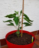 Bildschirmfoto 2019-04-08 um 10.20.22.png