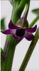 Bildschirmfoto 2019-04-08 um 10.20.48.png