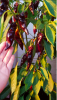 Bildschirmfoto 2019-04-08 um 10.23.23.png