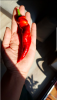 Bildschirmfoto 2019-04-08 um 10.23.34.png