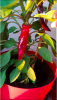 Bildschirmfoto 2019-04-08 um 10.23.46.png