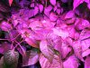 IMG_20190409_192829.jpg