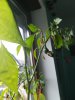 IMG_20190406_143256.jpg