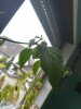 IMG_20190406_143318.jpg