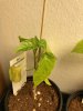 IMG_5722.jpeg