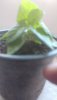 20190418_091043.jpg