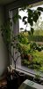 20190428_152814.jpg