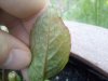 IMG_20190501_162252.jpg