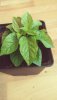 20190504_153843.jpg