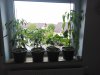 IMG_20190504_180418.jpg