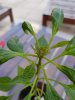 20190509_174833.jpg