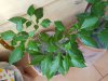 20190509_174059.jpg