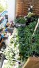 IMG-20190514-WA0003.jpg