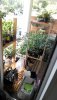 IMG-20190514-WA0005.jpg