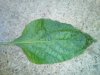 IMG_20190515_095735.jpg