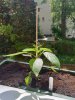 20190518_124213.jpg