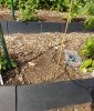 20190607_102045-klein.jpg