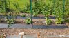 20190607_102106-klein.jpg