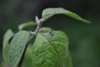 DSC_0407.JPG