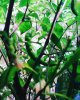 IMG_20190621_175313_544.jpg