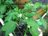 BILD0279.jpg