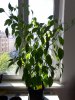 20190624_161018.jpg 20190624_161018.jpg