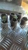 received_421614191762213.jpeg