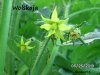BILD0329.jpg