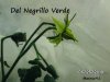 BILD0334.jpg