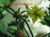 BILD0337.jpg