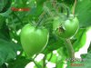 BILD0344.jpg