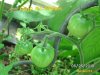 BILD0347.jpg