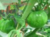 BILD0352.jpg