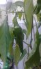 20190624_211612.jpg