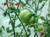 BILD0361.jpg