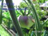 BILD0364.jpg